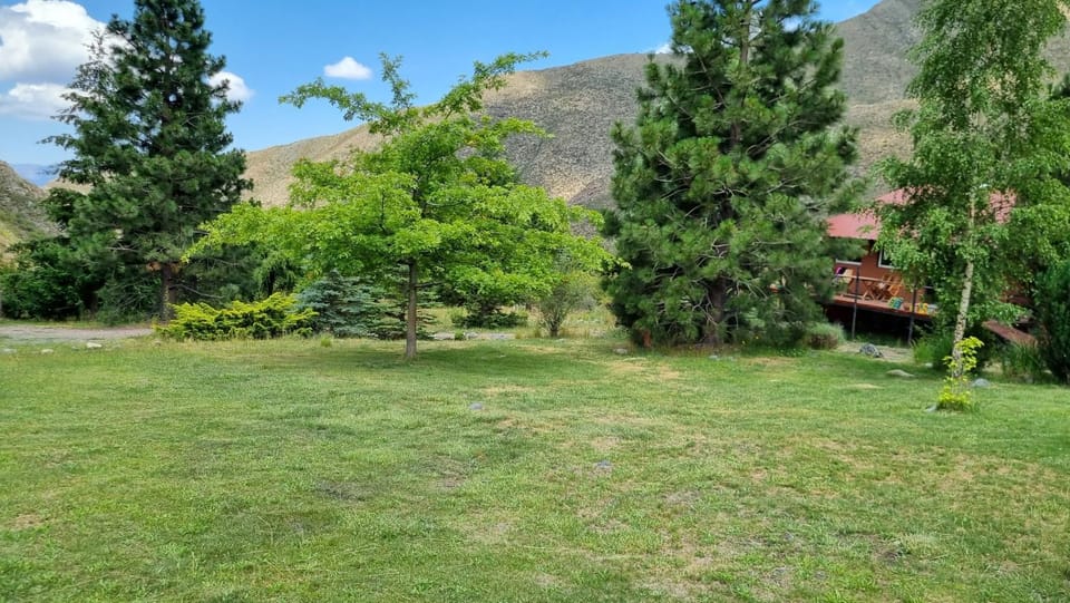 Spring, Day, Natural landscape, Garden, Garden view, Mountain view