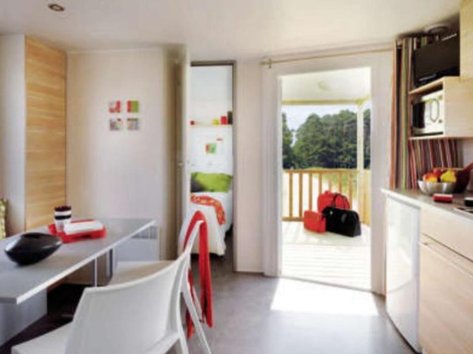 Mobil-home, animaux bienvenus - 4 pers. - API-1-52-2924 Campground/ 
RV Resort in Occitanie