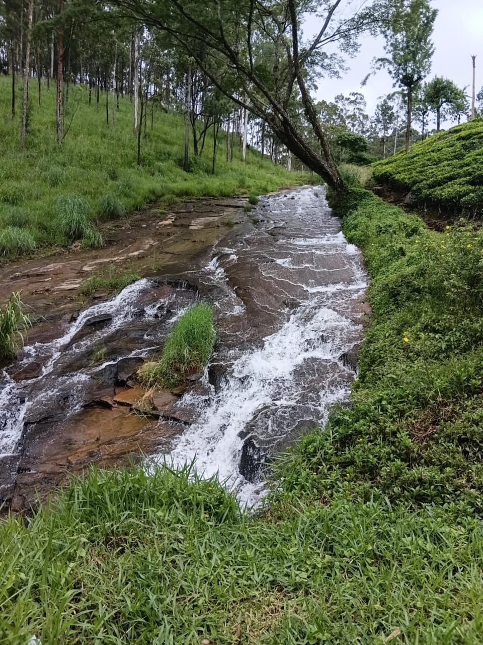 Royal Mount Hotel Hotel in Central Province