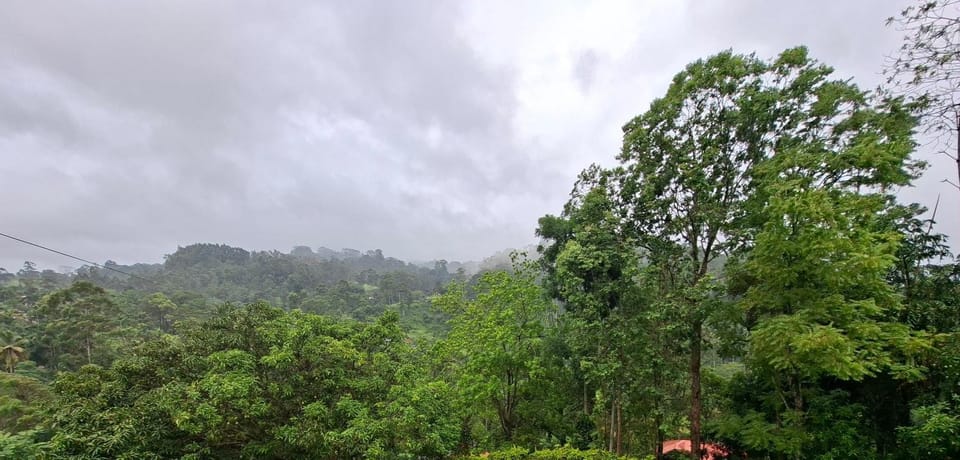 Mountain view