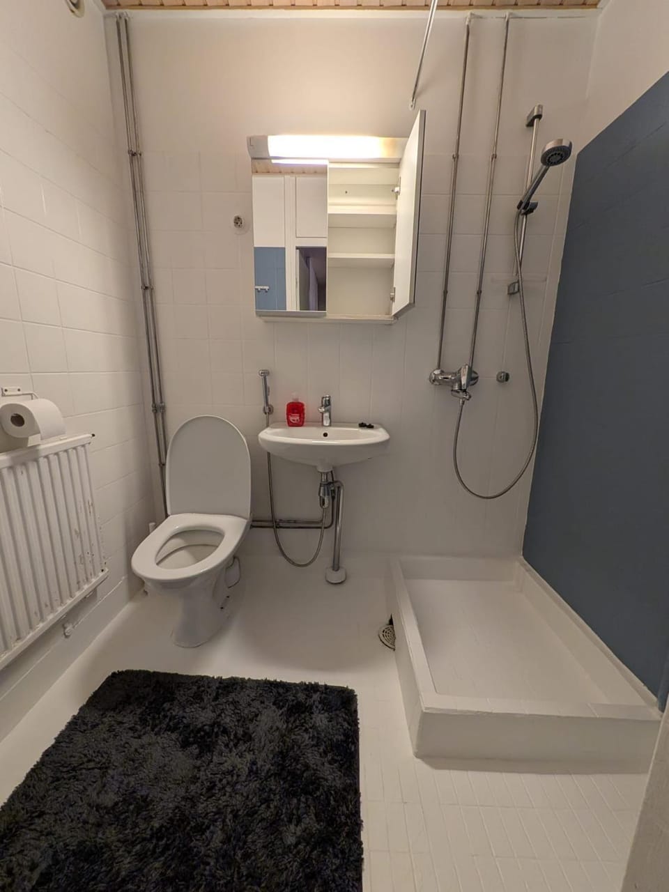 kolmio kuudelle hengelle Apartment in Finland