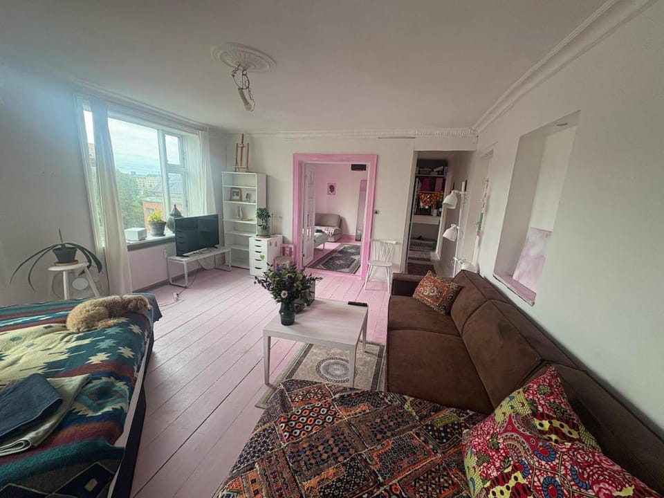 Book Entire 3BR Apartment in Central Copenhagen Apartment in Copenhagen