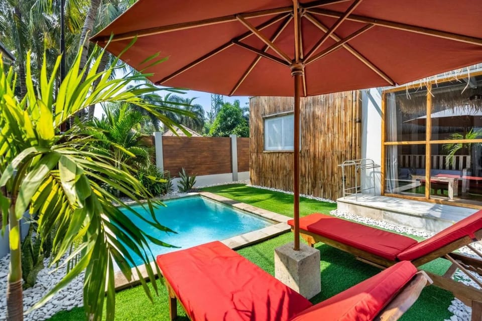 Garden, Garden view, Pool view, Swimming pool, sunbed