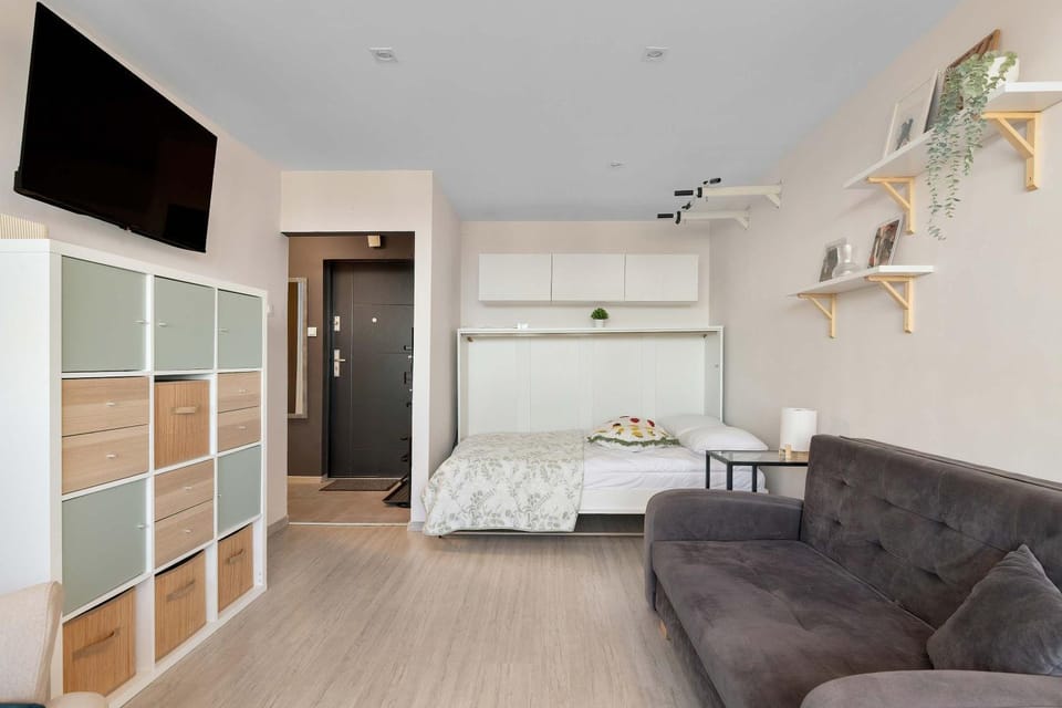Bed, TV and multimedia, Living room, Photo of the whole room, Seating area, Bedroom, pet friendly