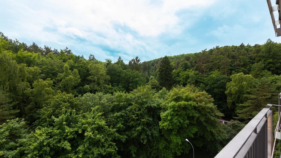 Natural landscape, View (from property/room)