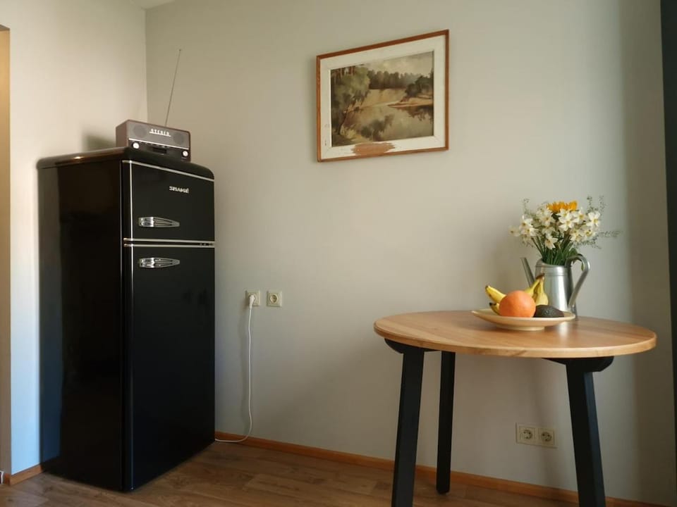 Cozy Apartment near Old Town & Jūrmala Train Apartment in Riga