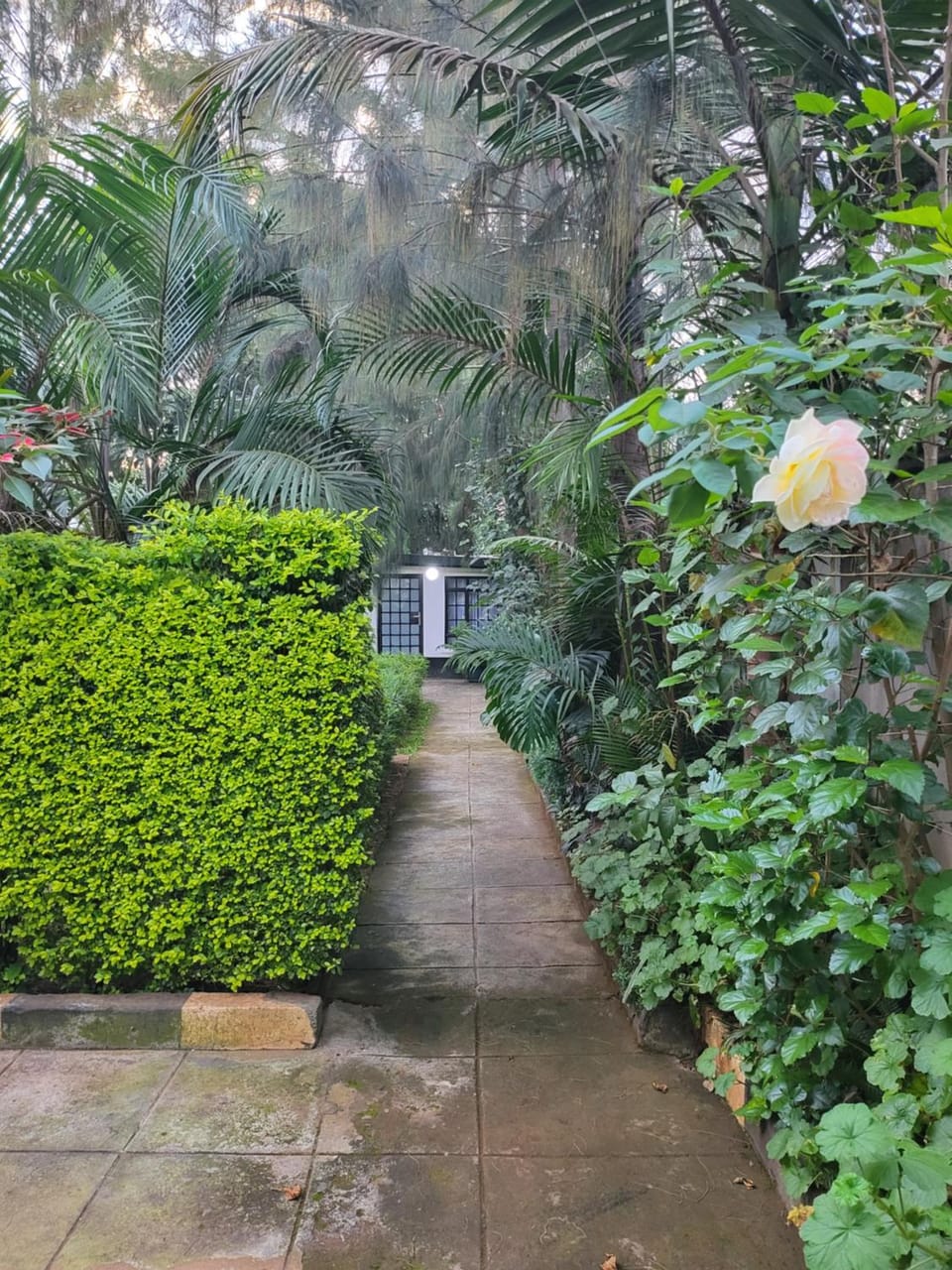 Facade/entrance, Garden