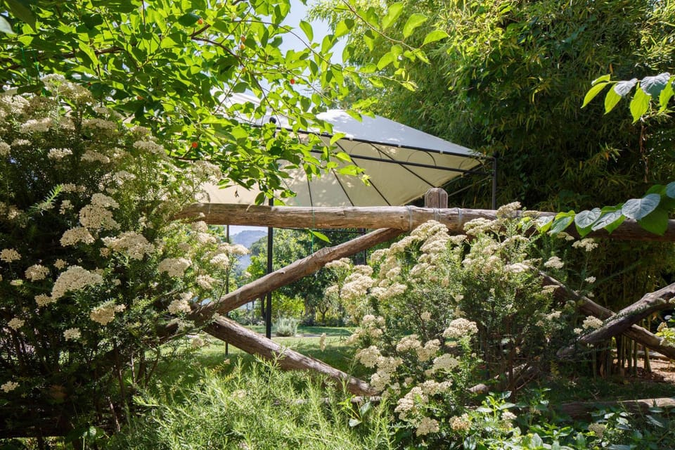 Natural landscape, Garden view, Entertainment