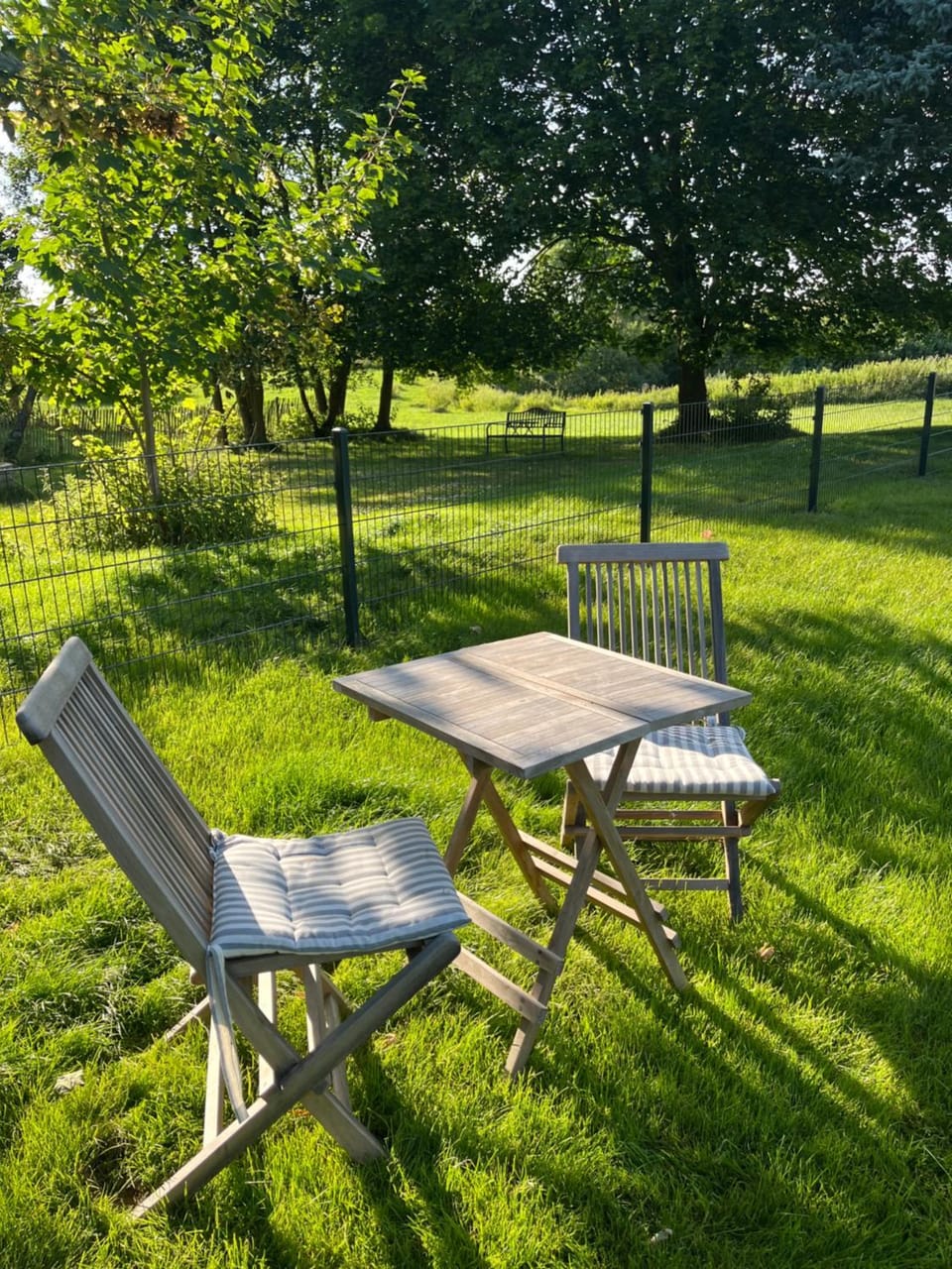 Day, Natural landscape, Garden, Garden view