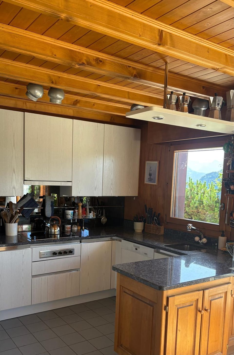 Kitchen or kitchenette, pet friendly