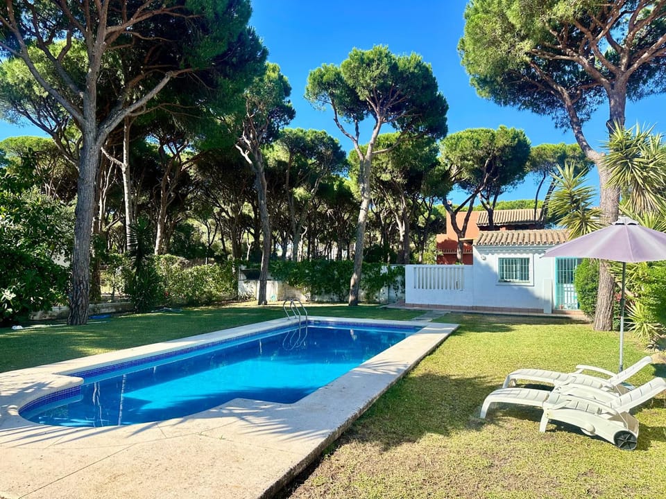 Garden, Garden, Garden view, Pool view, Swimming pool, Swimming pool