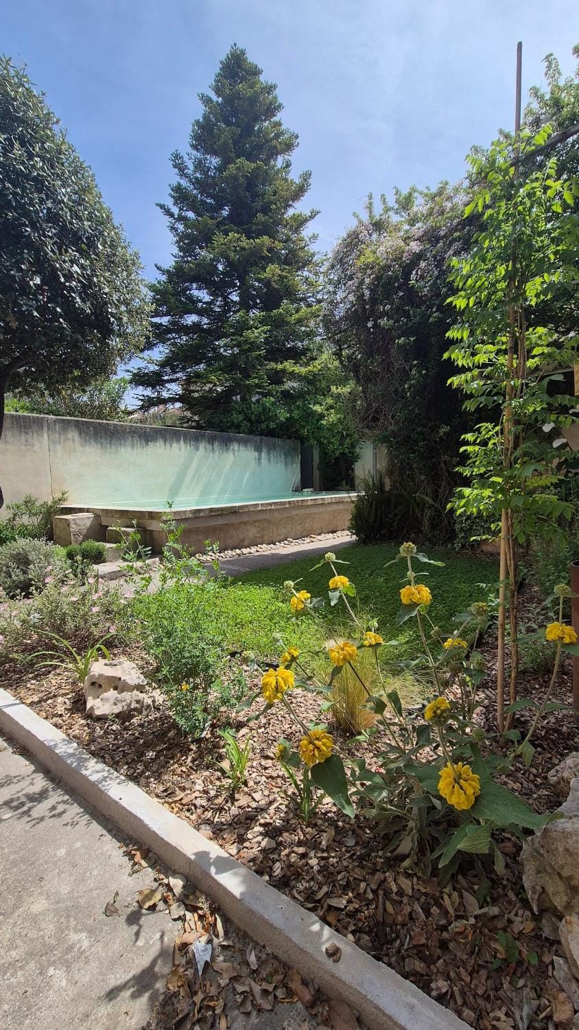 Garden view