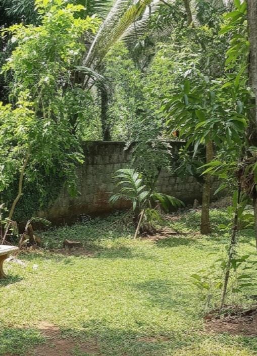 Grandbell Family Resort Bed and Breakfast in Sri Lanka