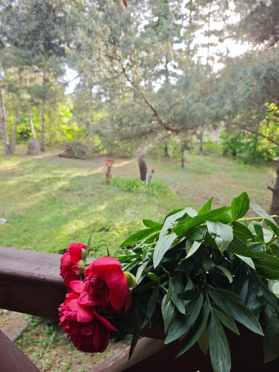 Property building, Garden view