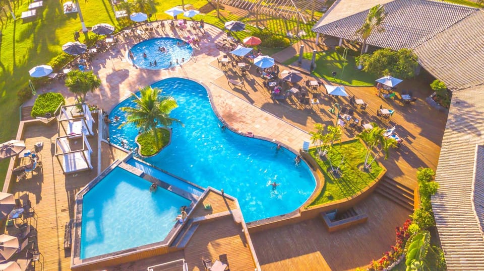 Day, Bird's eye view, Pool view