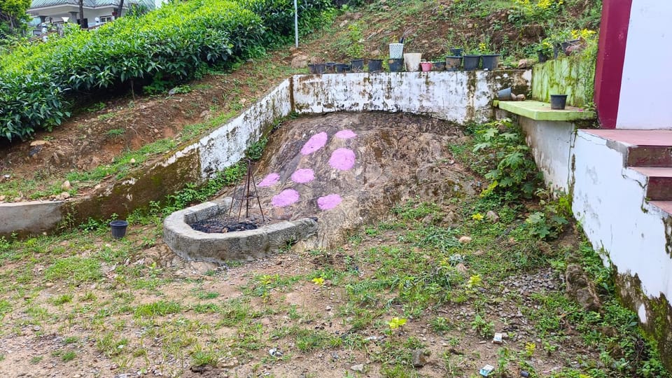 Day, Garden, fireplace