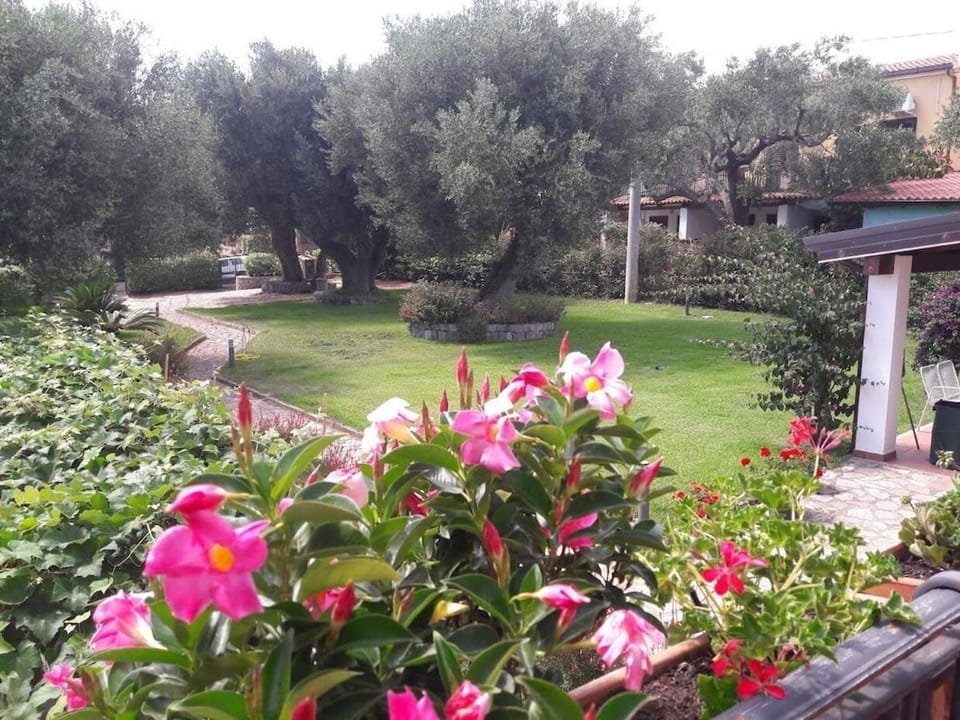Garden, Garden view