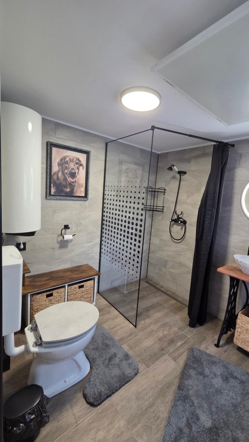 Shower, Toilet, Bathroom