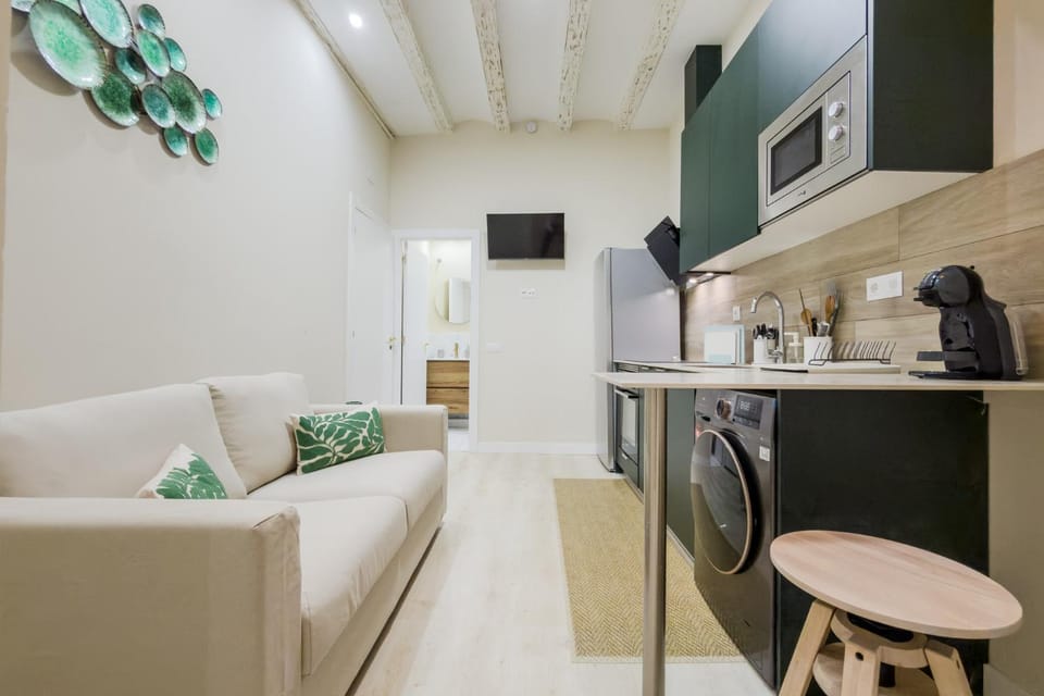 Apartamento 1 dormitorio y habitación con futon Apartment in Barcelona