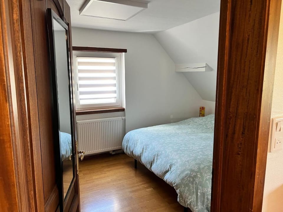 Appartement de vacance au pied du Vieil Armand Apartment in Grand Est