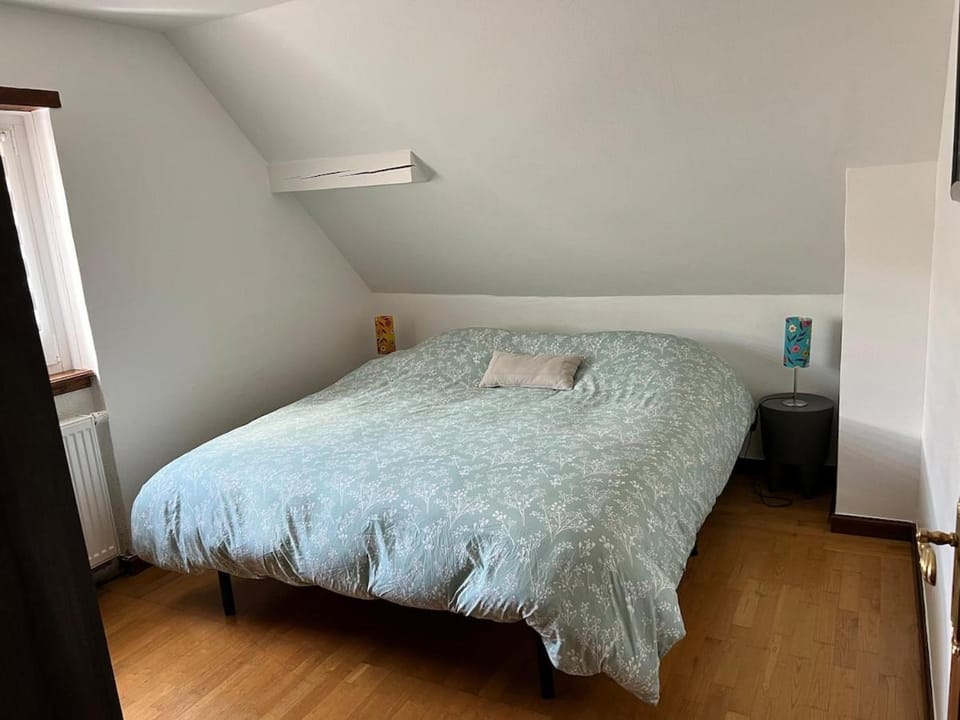Appartement de vacance au pied du Vieil Armand Apartment in Grand Est