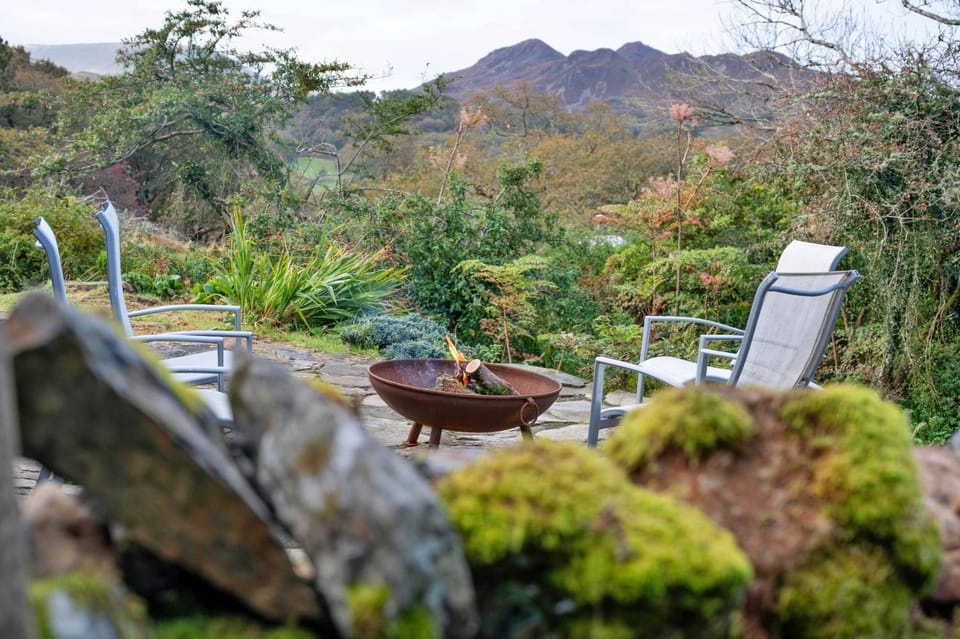 Patio, Garden, Garden view