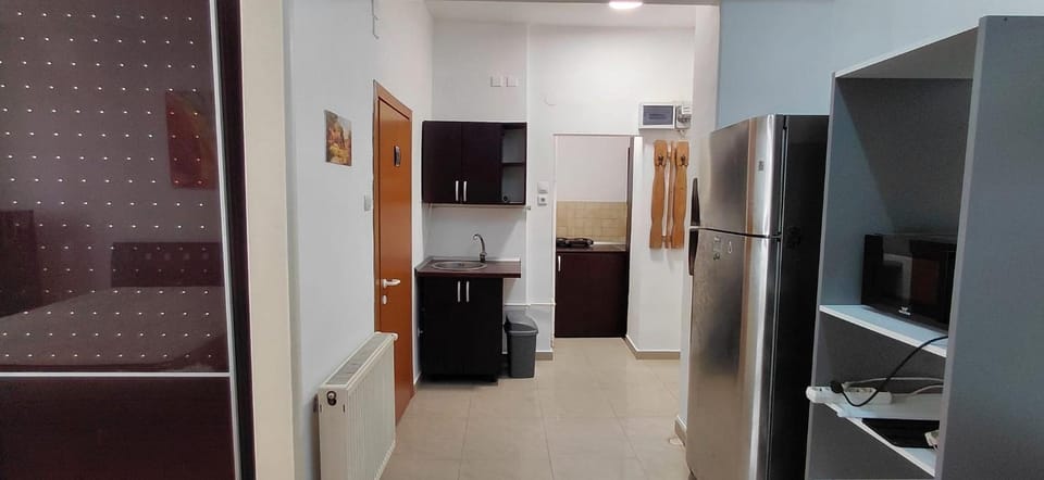 Studio Victoriei 214 Apartment in Bucharest
