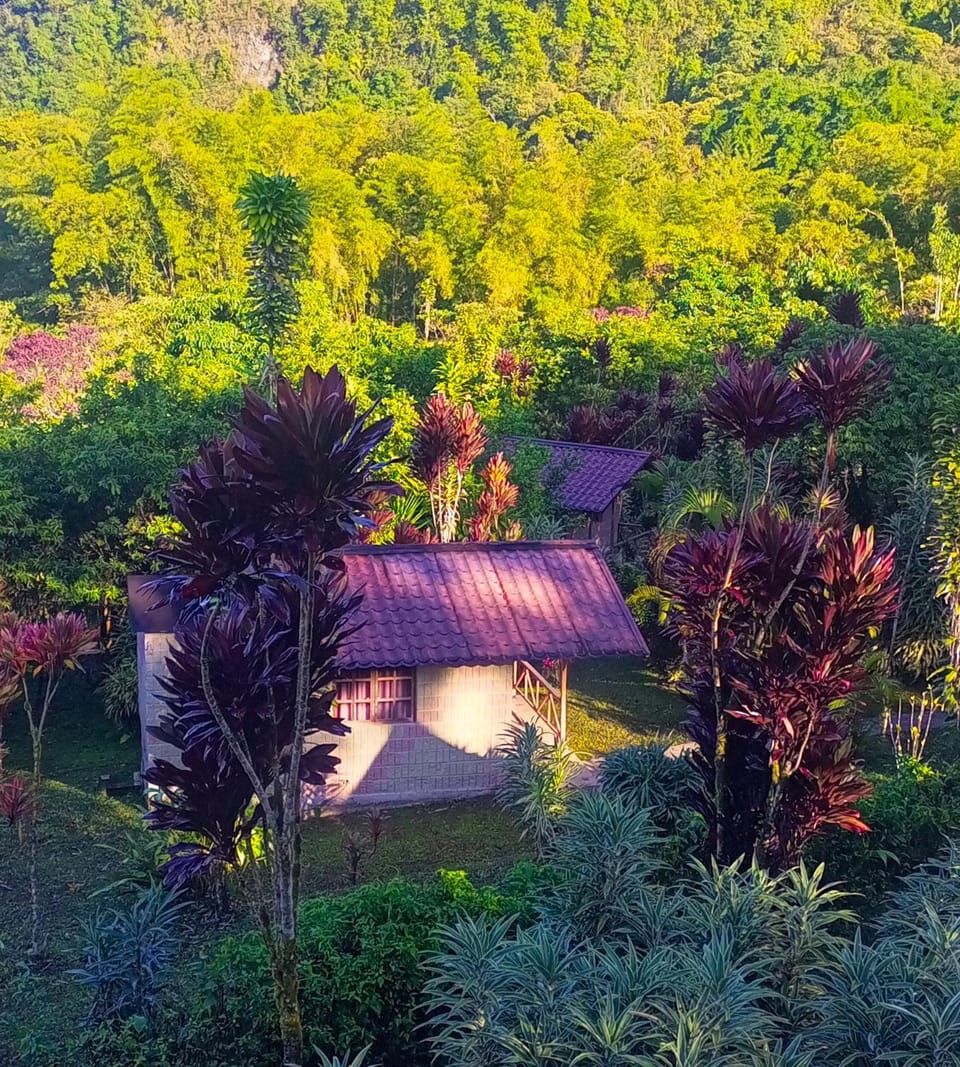 Property building, View (from property/room)