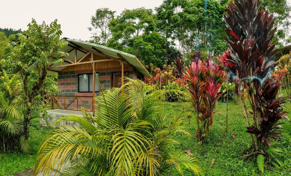 Mirador Mindo Nature lodge in Pichincha