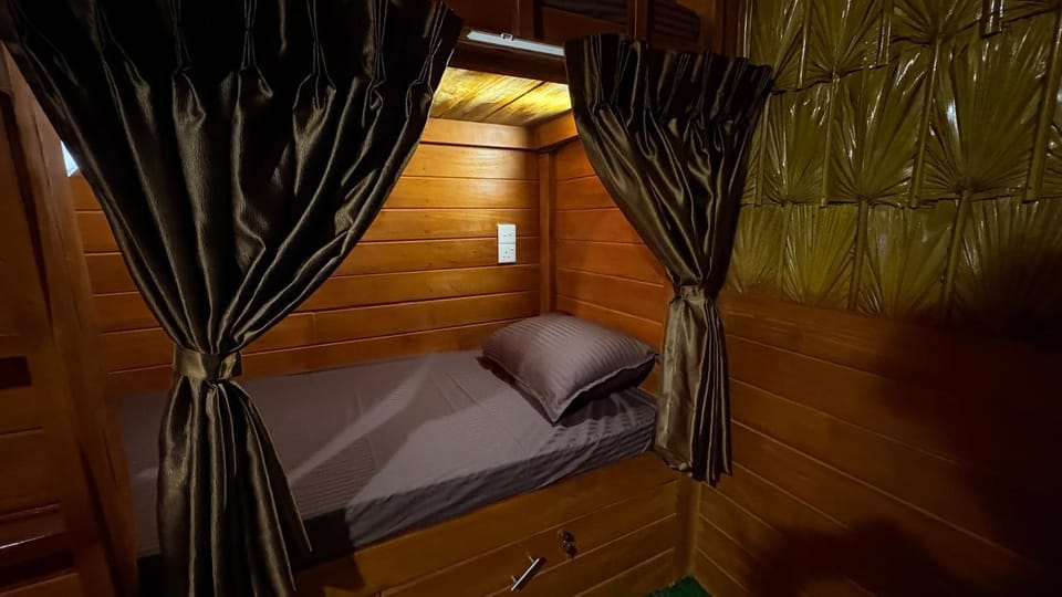 Bed, Photo of the whole room, Bedroom, bunk bed