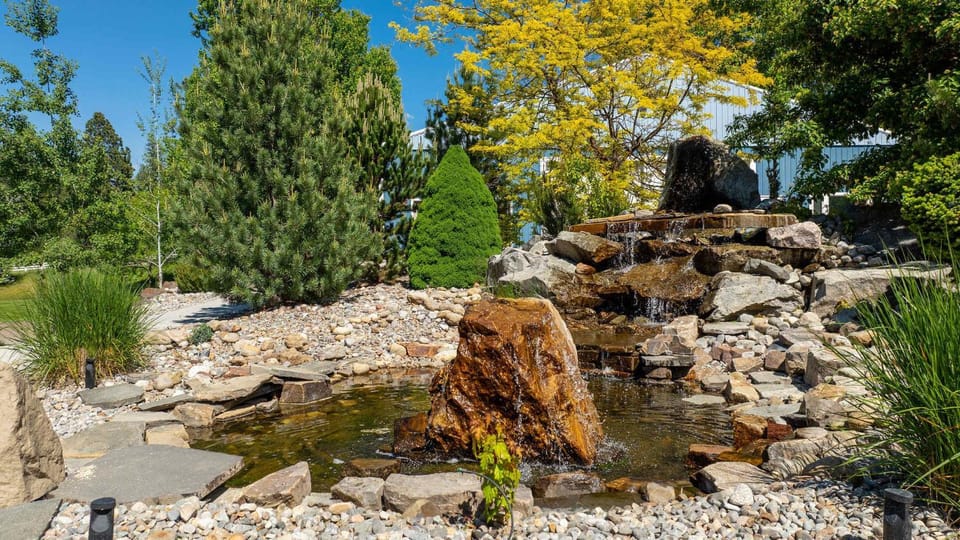 Day, Natural landscape, Garden
