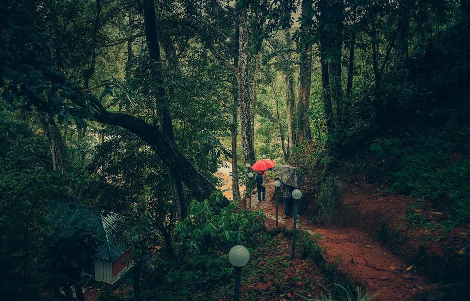 Spring, Day, People, Natural landscape, group of guests