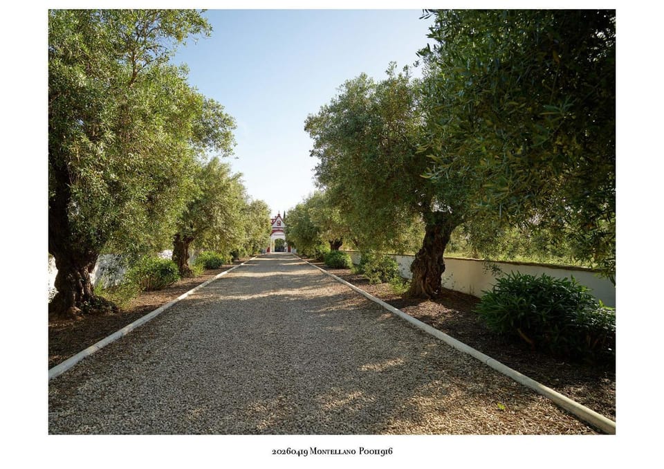 Palacio de Montellano Nature lodge in Andalusia