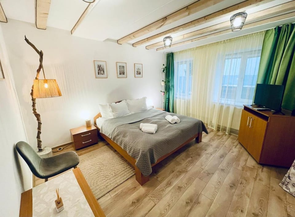 Studio Medeea Apartment in Sibiu