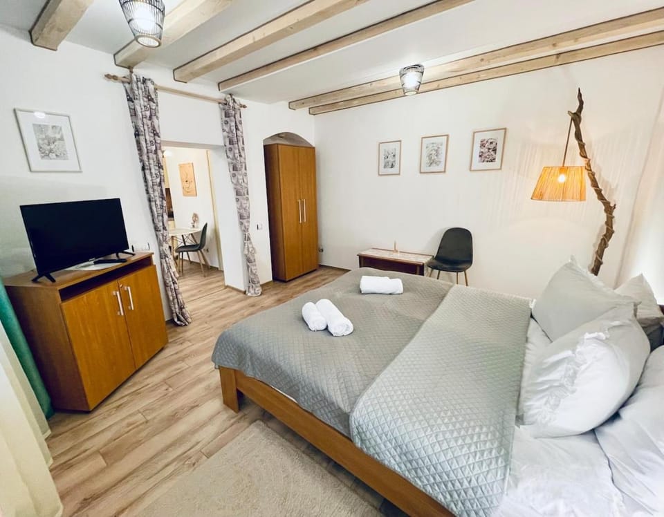 Studio Medeea Apartment in Sibiu