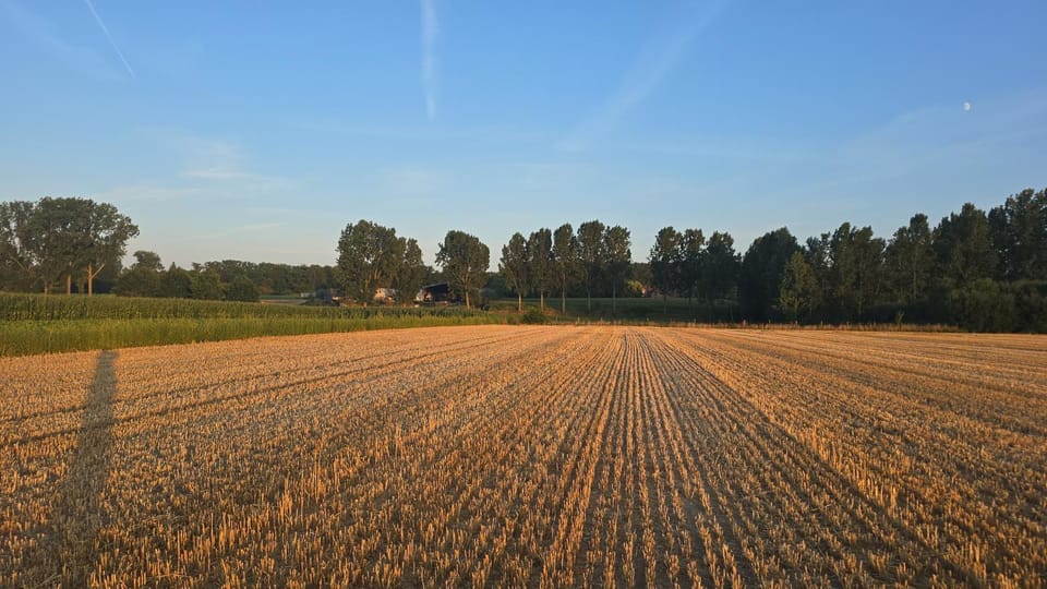 Natural landscape