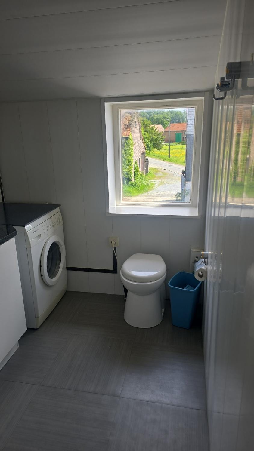 Toilet, Bathroom, washing machine