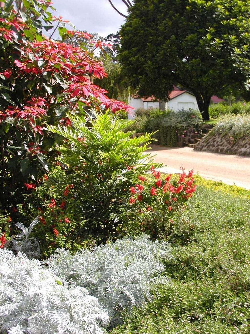 Garden, Garden