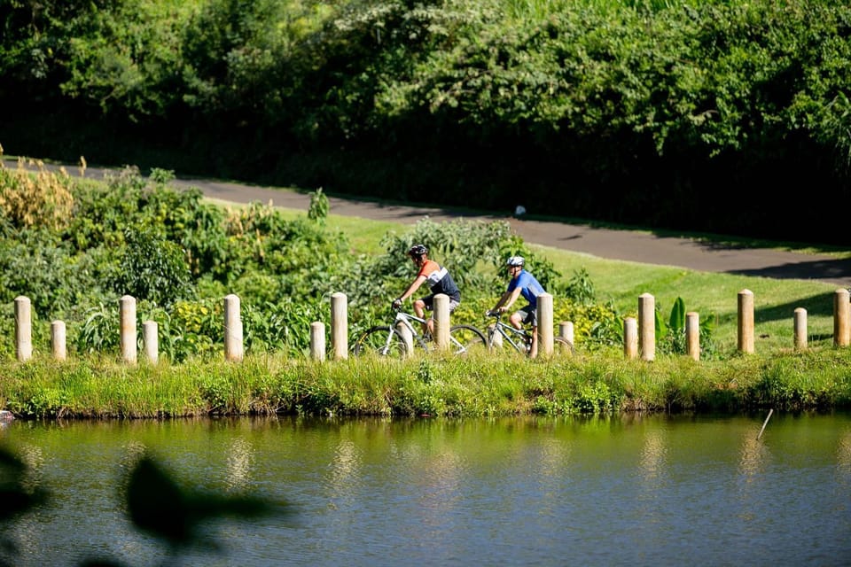 Cycling