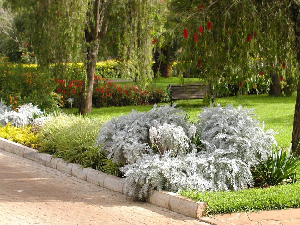 Garden, Garden
