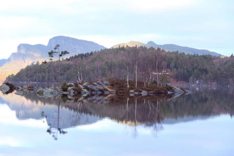 Lake view