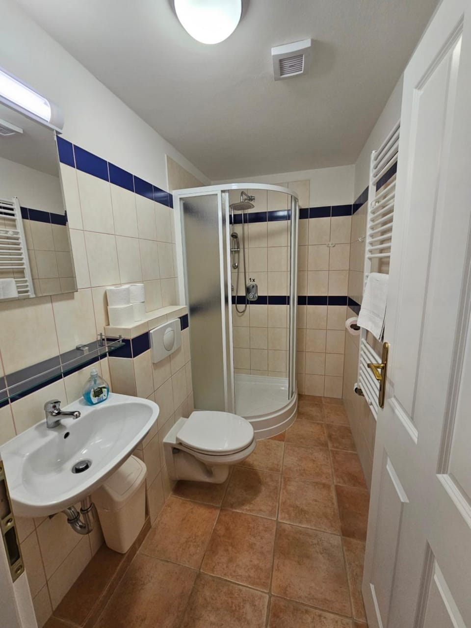 Shower, Toilet, Bathroom, towels