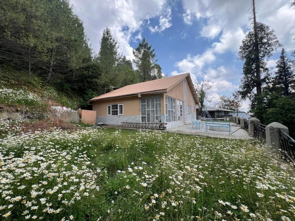 Property building, Garden