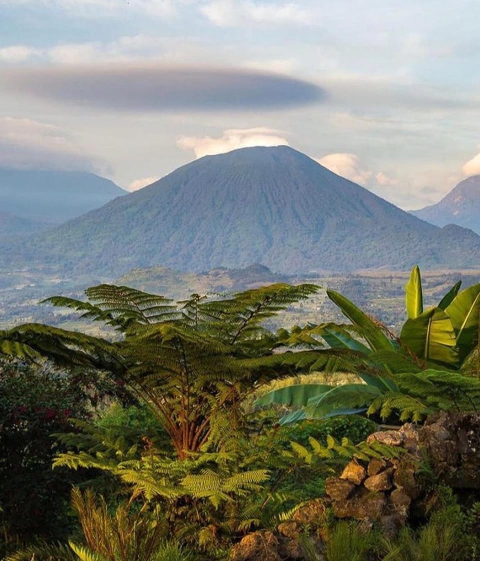 Treasure safari stay Bed and Breakfast in Arusha