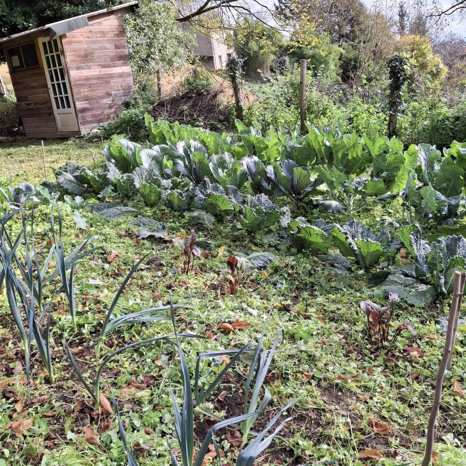 Écogîte en pleine nature House in Occitanie