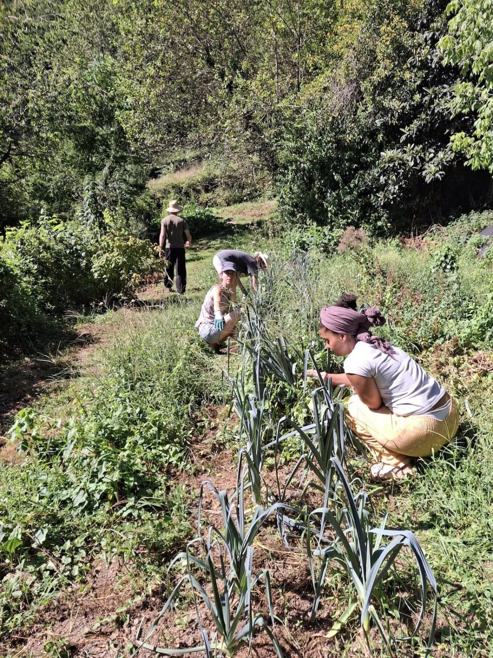 Écogîte en pleine nature House in Occitanie