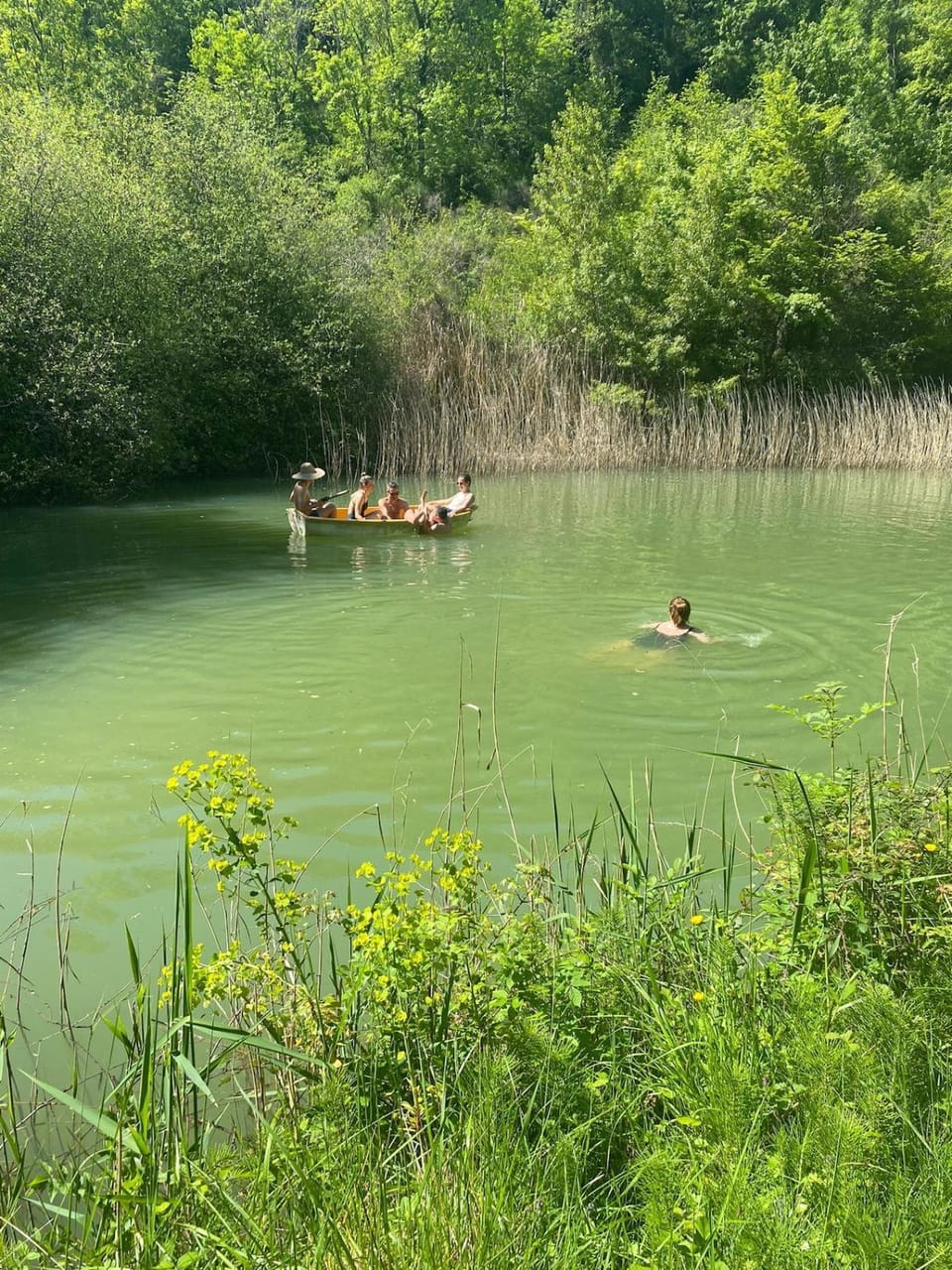Écogîte en pleine nature House in Occitanie