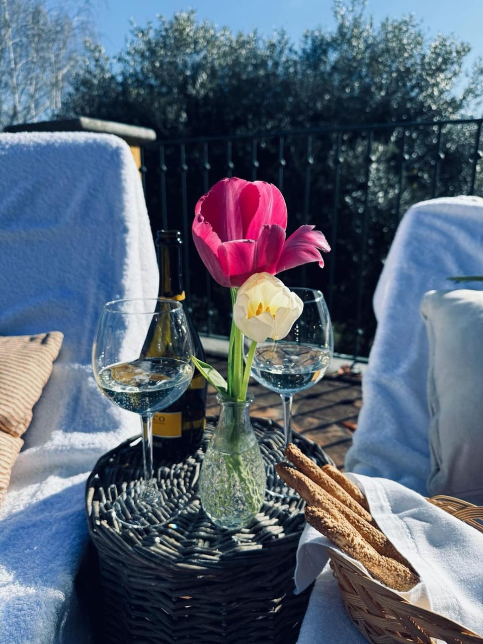 Villa Burzio 1899 Bed and Breakfast in Piedmont