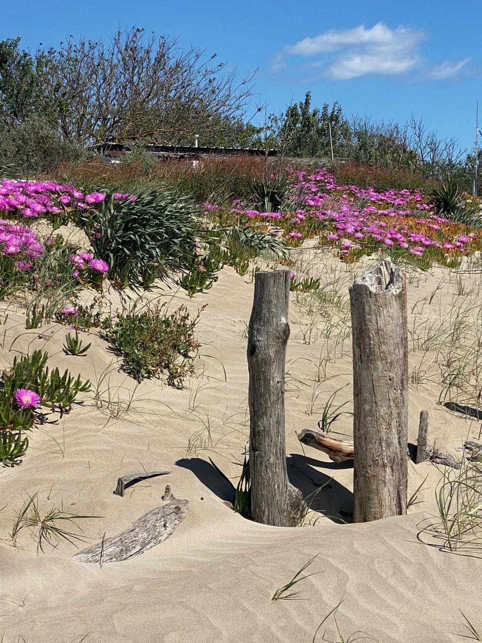 Natural landscape, Beach, Sea view