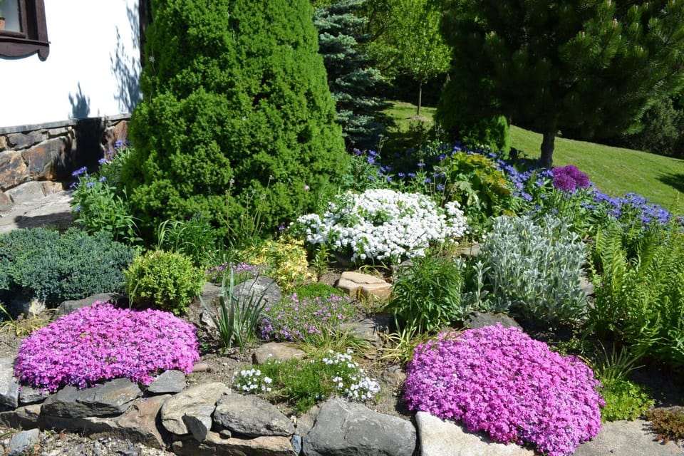 Decorative detail